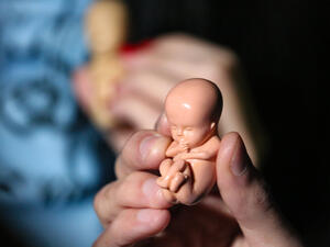 (Shutterstock/ File Photo)