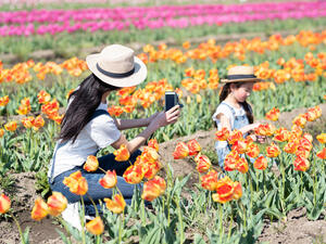 (Shutterstock/ File Photo)