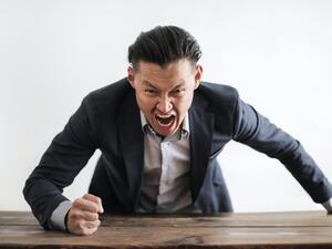 يتكون النظام العصبي من جزأين مختلفين يتميزان بواسطة لونهما من الناحية التشريحية: