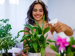 الريحان عشب متعدد الاستخدامات، إذ يمكن استخدامه أيضا علاجا للدغات البعوض.