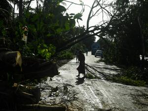 A woman removes debris from a road after the landfall of cyclone Amphan in Midnapore, West Bengal, on May 21, 2020. The strongest cyclone in decades slammed into Bangladesh and eastern India on May 20, sending water surging inland and leaving a trail of destruction as the death toll rose to at least nine. Dibyangshu SARKAR / AFP