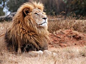 (Shutterstock/ File Photo)