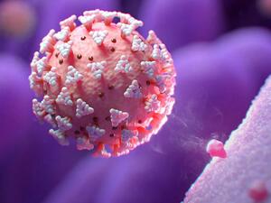 FAQs on the Latest COVID-19 Developments in Layman’s Terms