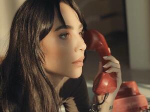 Dana Hourani  (Twitter)