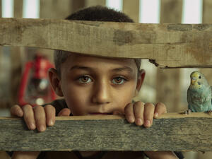 صورة "عصفوري"