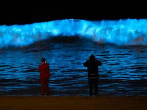 الأمواج الزرقاء المتوهجة 