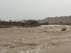 سيل في الامارات