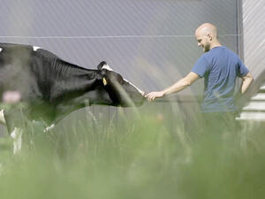 تعالي يا حلوة