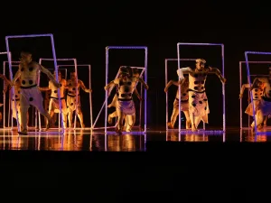 The aim is to shed light on the performing arts for students while they commit to staying in their homes.