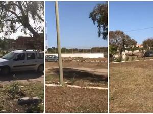 فرنسي يدهس أغنامًا في المغرب بشكلٍ متعمد