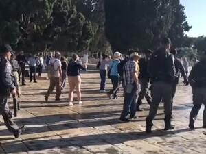 مستوطنون يهود في ساحات المسجد الأقصى/ أرشيفية