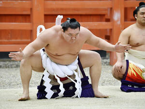 مصارع السومو الياباني "شوبوشي" 