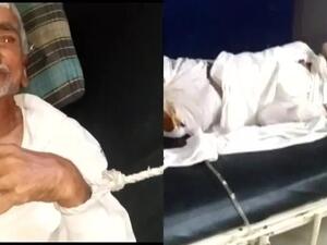 المُسن الهندي