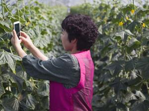 دراسة جديدة من إريكسون:عالم أكثر استدامة بفضل ابتكارات قطاع تكنولوجيا الاتصالات