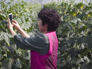 دراسة جديدة من إريكسون:عالم أكثر استدامة بفضل ابتكارات قطاع تكنولوجيا الاتصالات