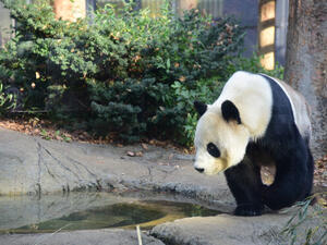 (Shutterstock/ File Photo)