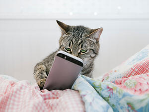 (Shutterstock/ File Photo)