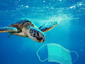 (Shutterstock/ File Photo)