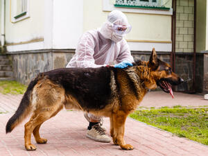 (Shutterstock/ File Photo)