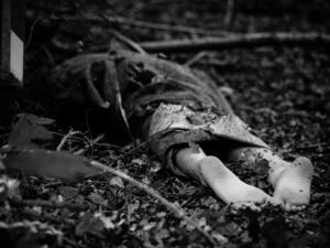 The father confirmed the death of his missing son through photos shared on the internet. (Shutterstock/ File Photo)