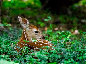 (Shutterstock/ File Photo)