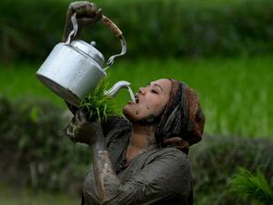 A woman drinks rice wine while planting rice during "National Paddy Day", which marks the start of the annual rice planting season, in Tokha village on the outskirts of Kathmandu on June 29, 2020. PRAKASH MATHEMA / AFP
