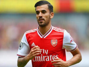 داني سيبايوس