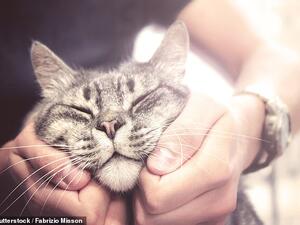 (Shutterstock/ File Photo)