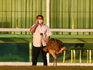 الرئيس البرازيلي "جاير بولسونارو" 