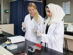 جامعة أبوظبي تطلق برنامج "سفراء الصحة والسلامة