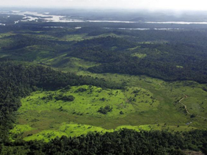 Overview of a deforested area in the border of Xingu River in northern Brazil (AFP photo)