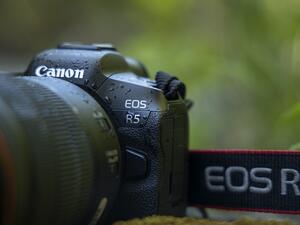 كانون تطلق الكاميرتين الجديدتين EOS R5 و EOS R6بأداء فائق يرتقي بالقدرات الإبداعية لعشاق ومحترفي التصوير