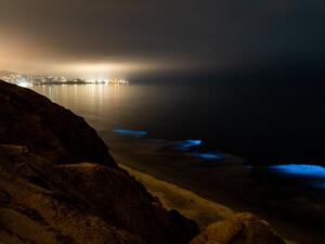 Neon blue waves  (Twitter)