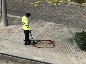 راميش جانجاراجام غاندي