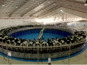 New National Geographic Abu Dhabi Film ‘Marmum’ Takes Viewers on the Journey of Creating a State-of-the-Art Dairy Factory in the Heart of the UAE