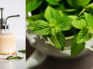 اصنعيه بنفسك: غسول الجسم بالنعناع المرطب