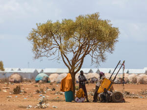 Somalia (Shutterstock)	