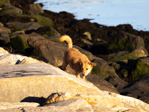 (Shutterstock/ File Photo)