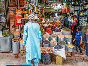 Kerman, Kerman Province Iran (Shutterstock)