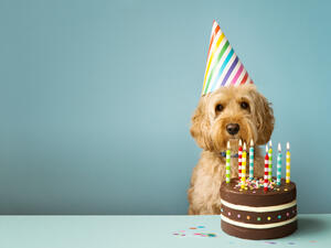 (Shutterstock/ File Photo)