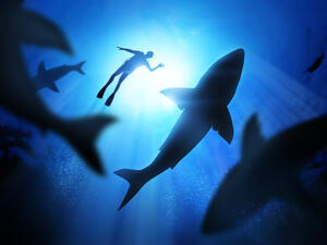 (Shutterstock/ File Photo)