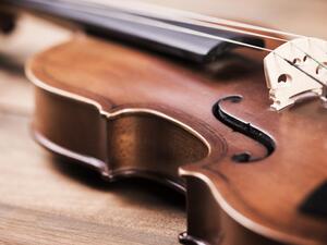 (Shutterstock/ File Photo)