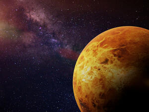 Venus  (Shutterstock)	
