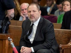 هارفي واينستين