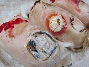 Natasha Collins, 49, began baking her gruesome designs around 12 years ago (Twitter)