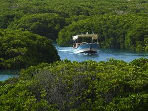 جزيرة فرسان