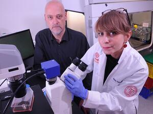 WCM-Q Research Sheds New Light on Treatment-Resistant Cancers