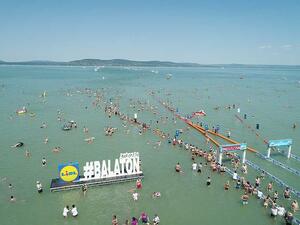 أطول سباق سباحة في بحيرة "بالاتون"