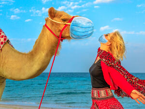 The coronavirus in camels poses no major risk to humans but has killed over 200 camels. (Shutterstock/ File Photo)