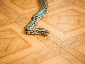 (Shutterstock/ File Photo)